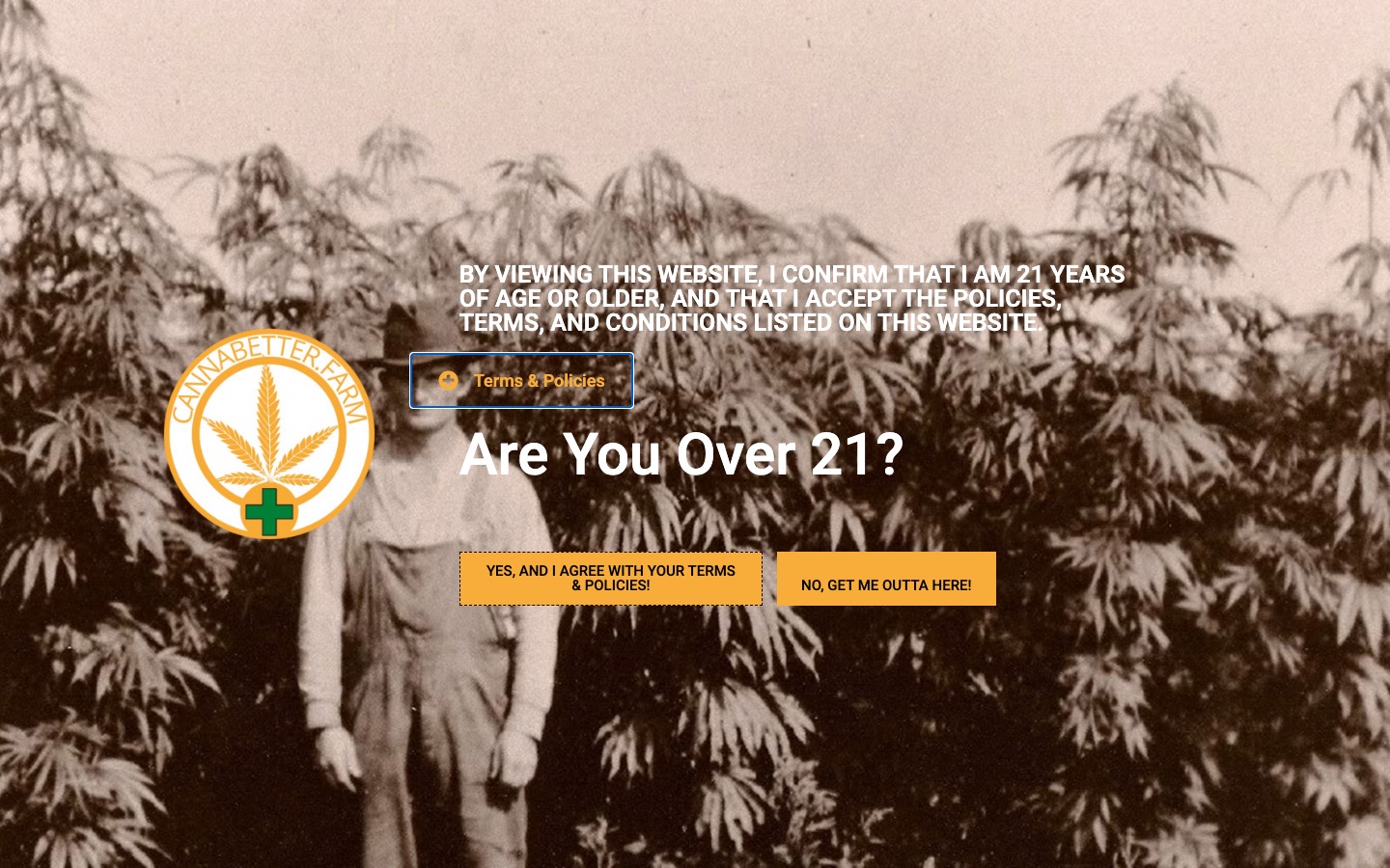 The current homepage